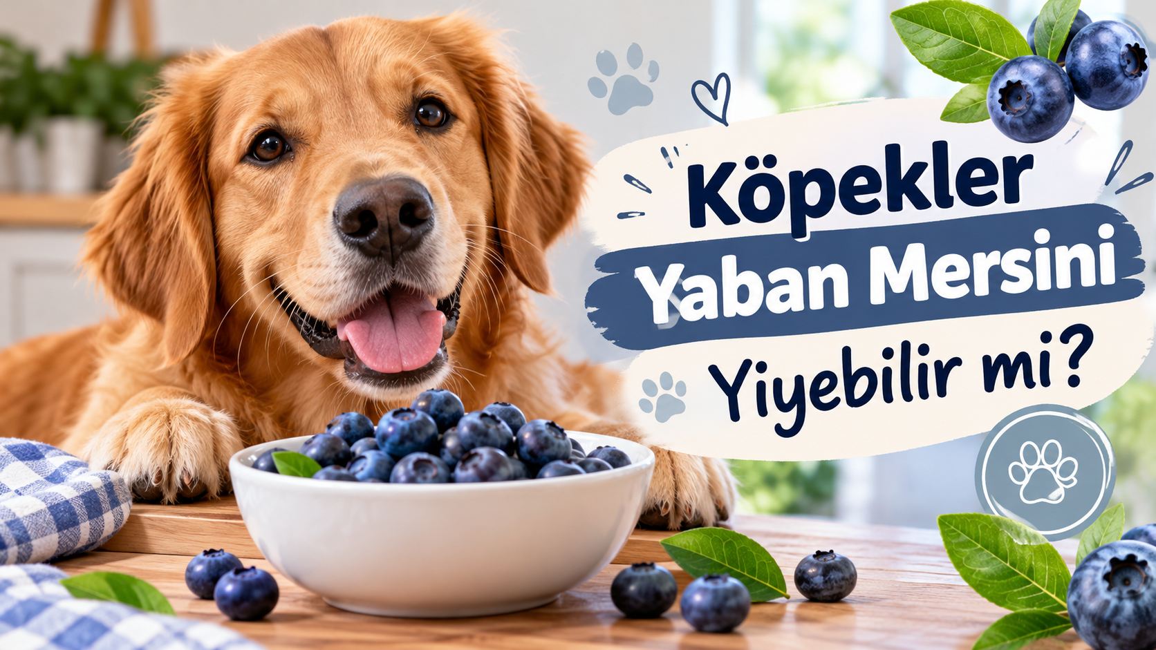 Köpekler Yaban Mersini Yiyebilir mi?