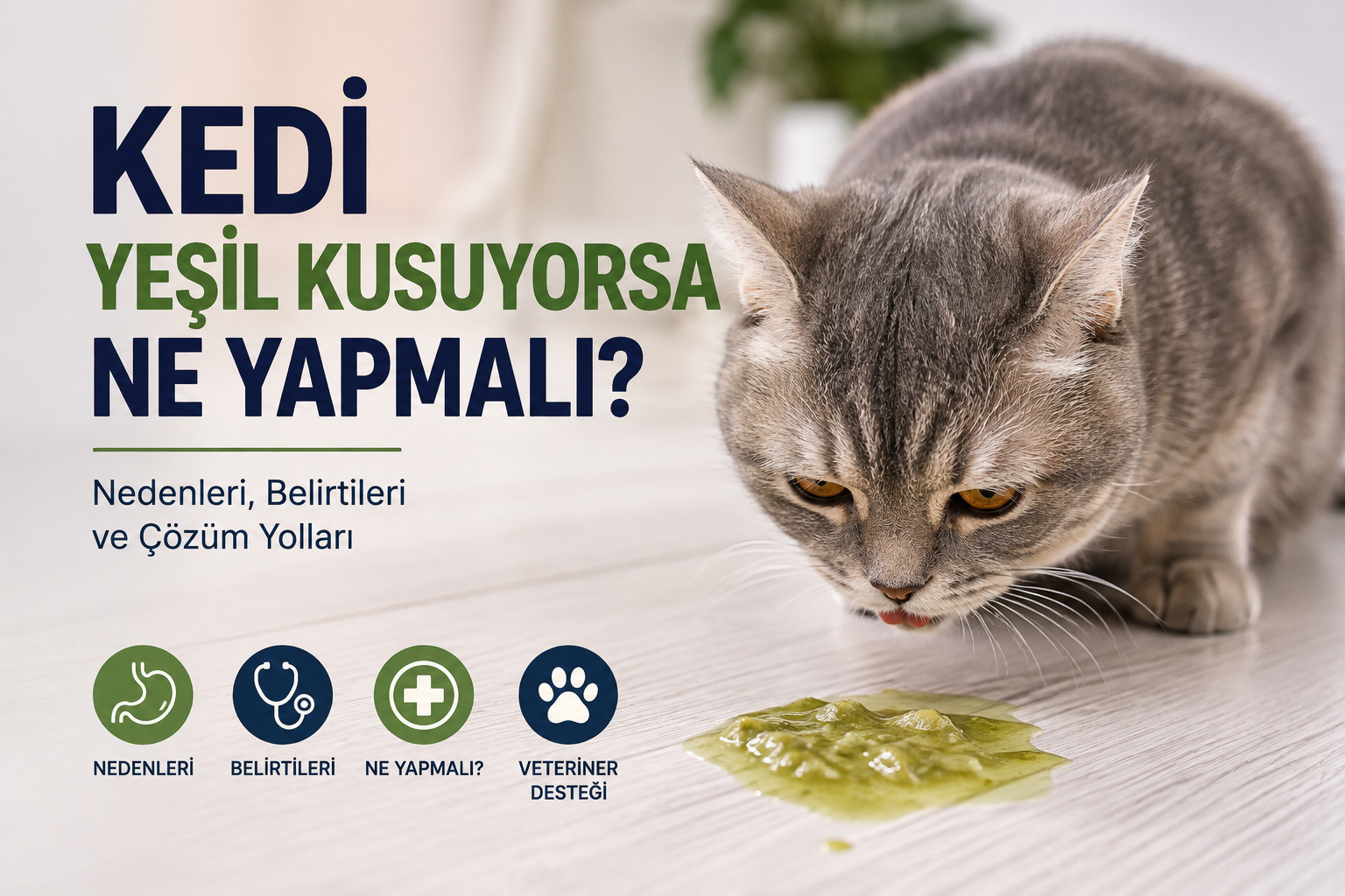 Kedi Yeşil Kusuyorsa Ne Yapmalı?