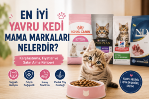 Yavru kedi mama markaları