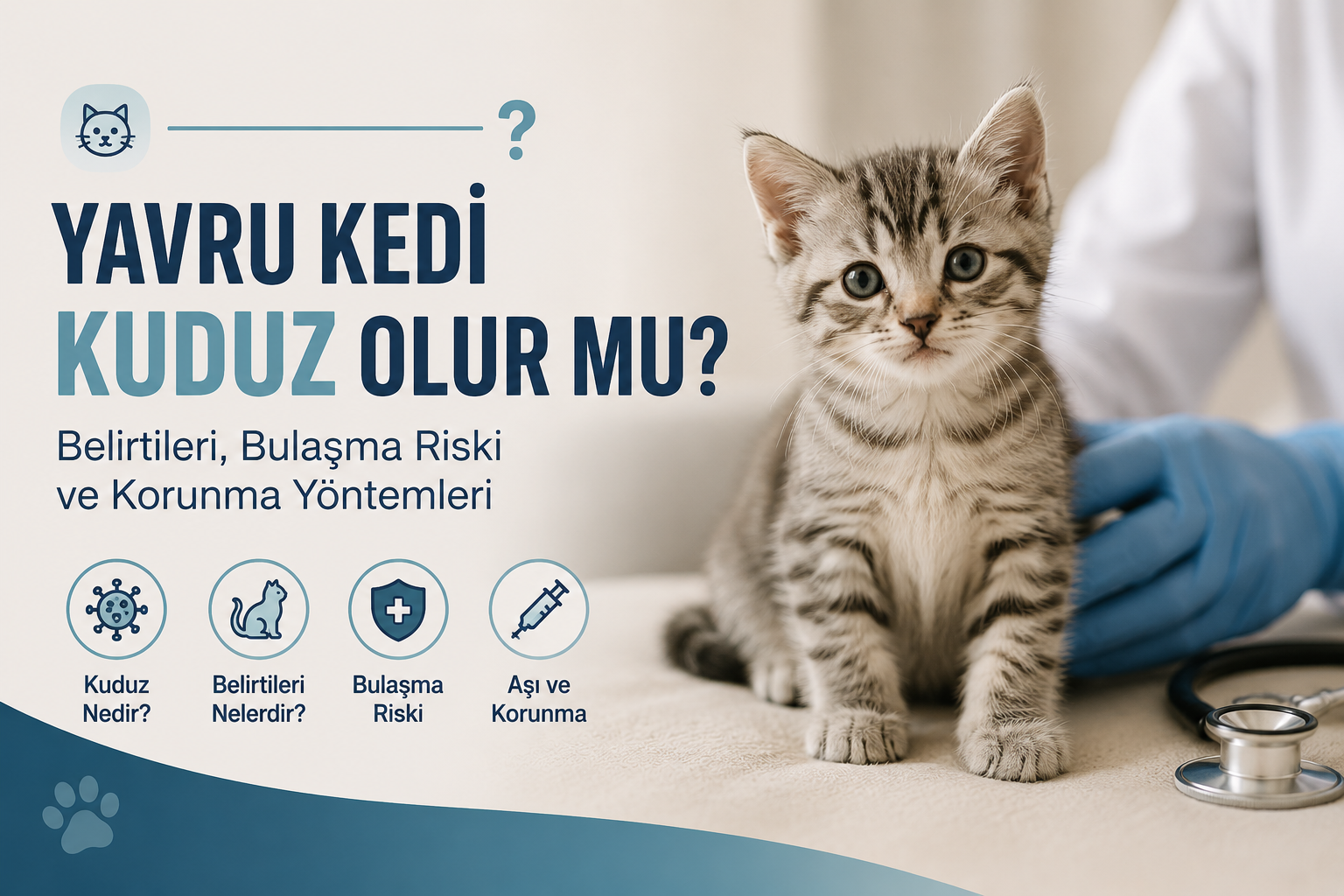 Yavru Kedi Kuduz Olur Mu: Belirtileri Bulaşma Yoll...