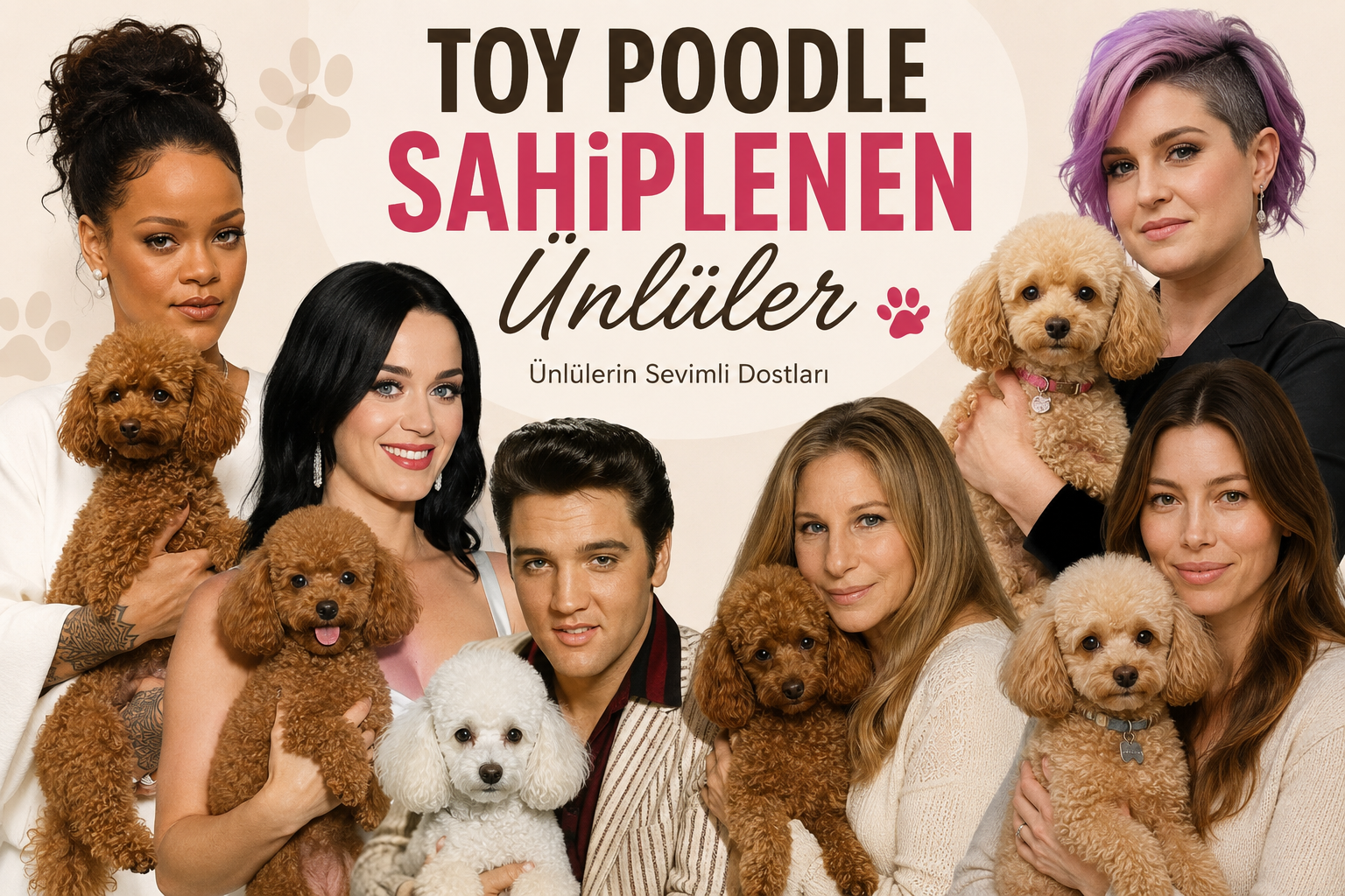 Toy Poodle Sahiplenen Ünlüler