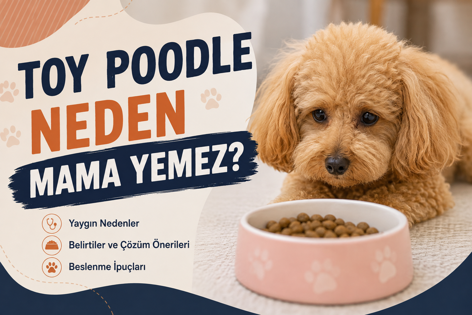 Toy Poodle Neden Mama Yemez?