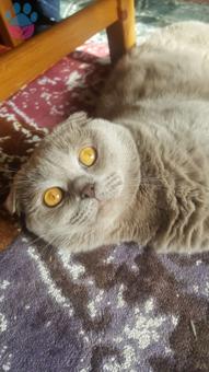 2 Yaşındaki Oğlumuza Eş Arıyoruz.