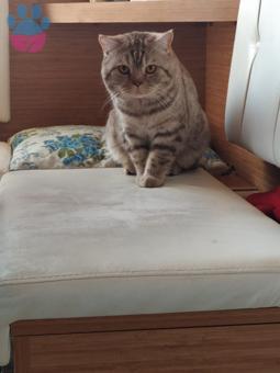 Gelin ?‍♀️ Adayı Arıyoruz?