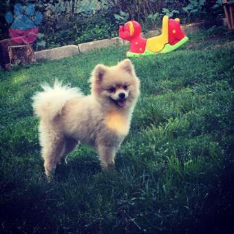 ??&#8230;LORD Eşini Arıyor&#8230;??