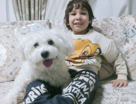 Maltese Terrier 9 Aylık Oğluma Eş Arıyorum
