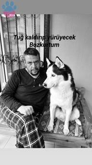 Husky Paşa Bey İçin Eş Arıyoruz