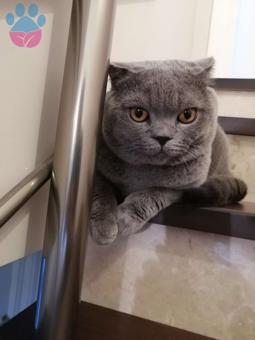 Karizmamla Gelin Adayımı Bekliyorum ?