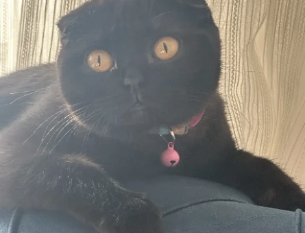 EŞ BULMA - 118975462