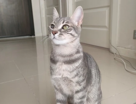 Kızıma eş arıyorum - 118979828