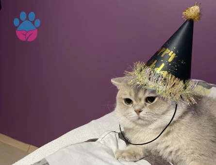 Oğlumuza eş arıyoruz