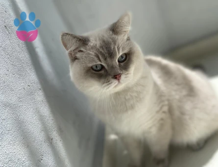 Yakışıklı oğlumuza eş arıyoruz ❤️