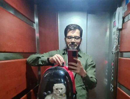 Scottish Fold Kızımız Miskin Fare’ye  Blue Point Eş Arıyoruz - 298