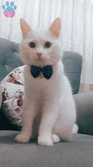 Bulut Beyimize Eş Arıyoruz