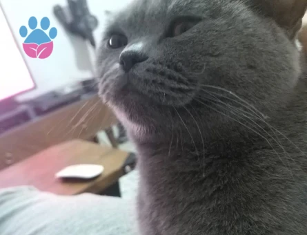 Kızıma eş arıyoruz