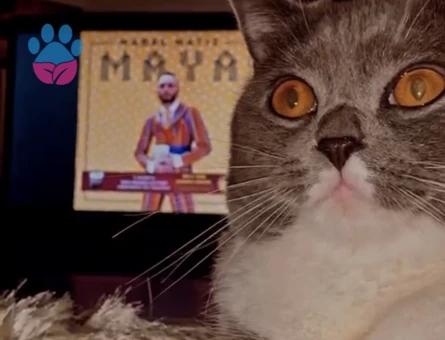 Oğluma eş arıyoruz