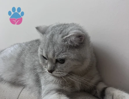 Acil Erkek eş arıyoruz