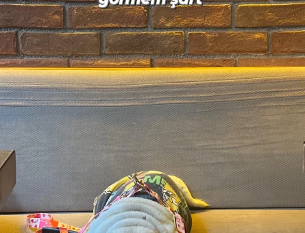Pug Prensesime damat arıyorum - 118971239