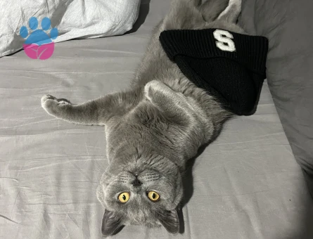 Oğlumuza eş arıyoruz