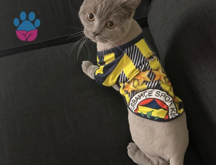 Bebek düşünen bir eş arıyoruz