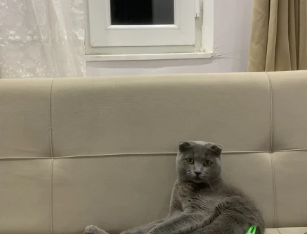 Oğluma kız arıyorum 😂 - 118981293