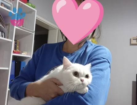 Lunamıza eş arıyoruz