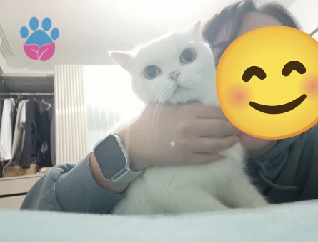 Lunamıza eş arıyoruz