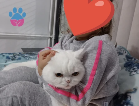 Lunamıza eş arıyoruz