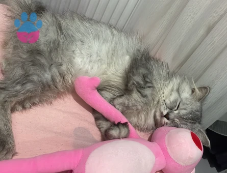 Oğlumuz bal taliplerini bekliyor