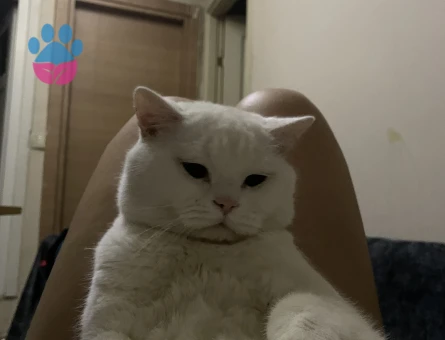 Oğlumuza Eş Arıyoruz!!!