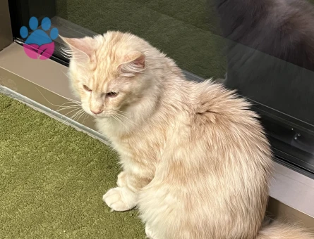 BULUTUMA EŞ ARIYORUM