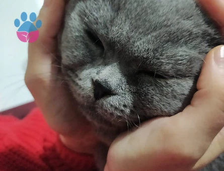 Yakışıklı oğluma acilll prenses ariyorum