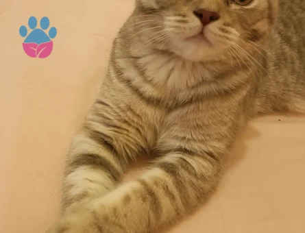 Oğlumuza eş arıyoruz..