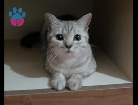 1.5 Yaşındaki Güzel Kızımıza Damat adayı Arıyoruz 🤩