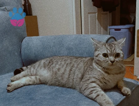 1.5 Yaşındaki Güzel Kızımıza Damat adayı Arıyoruz 🤩