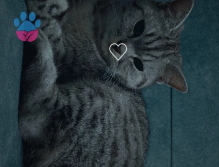 1.5 Yaşındaki Güzel Kızımıza Damat adayı Arıyoruz 🤩