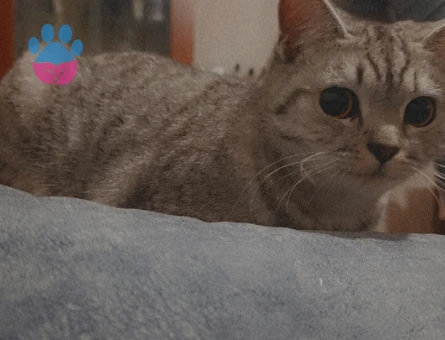 1.5 Yaşındaki Güzel Kızımıza Damat adayı Arıyoruz 🤩