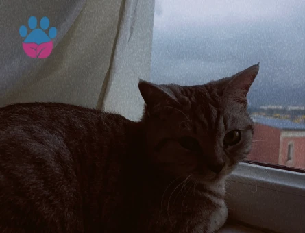 1.5 Yaşındaki Güzel Kızımıza Damat adayı Arıyoruz 🤩