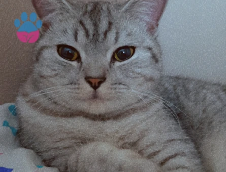 1.5 Yaşındaki Güzel Kızımıza Damat adayı Arıyoruz 🤩