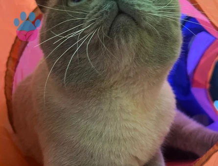 Oğlum Mars’a Eş Arıyoruz