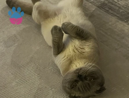 Oğlum Mars’a Eş Arıyoruz