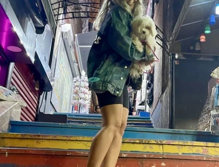 Maltese Terrier Kızıma Tatlış Eş Arıyoruz - 118984022
