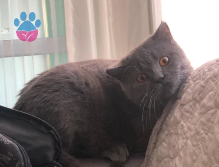 Yakışıklı Oğlumuz Edi için Eş arıyoruz