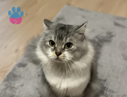 Oğlumuz için eş arıyoruz