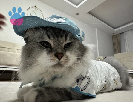 Oğlumuz için eş arıyoruz