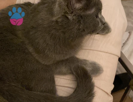 Kızıma Eş Arıyorum