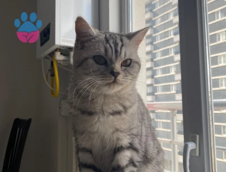 KIZIMIZA EŞ ARIYORUZ