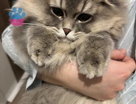 Oğluma eş arıyoruz :))