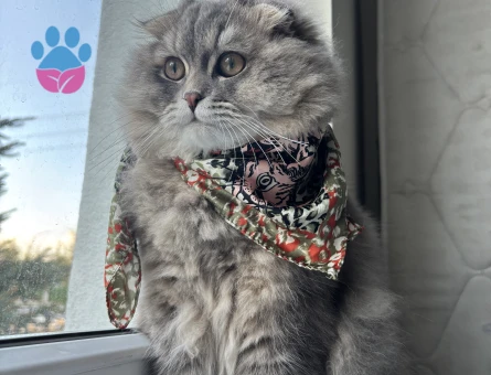 Oğluma eş arıyoruz :))