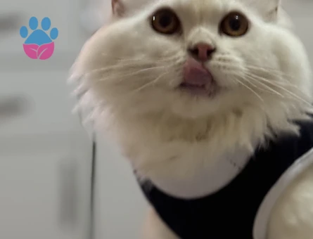 Oğluma arkadaş arıyoruz